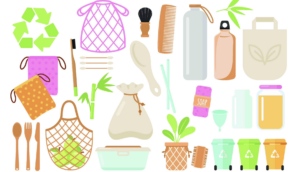 Cartoon of 20 Eco-Friendly Products to Replace the Single-Use Disposable Items Haunting Your Kitchen